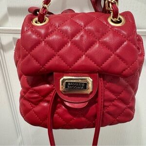 Badgley Mischka Cherry Red Quilted Mini Bag
